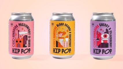 無酒精即飲型飲料 2022飲料行業(yè)新潮流解析