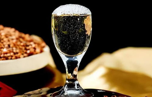 低價淘好酒有門道 避開即飲型，記住三要點，便宜也能喝到好滋味