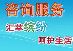 信息咨詢服務(wù) 定義、流程與核心價(jià)值