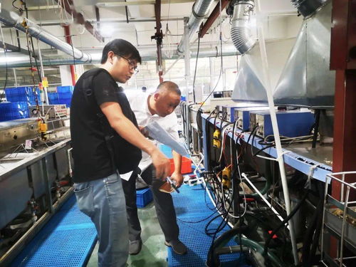 規(guī)范廠中廠，服務(wù)小微園 樂清翁垟街道多措并舉繃緊企業(yè)生產(chǎn)安全弦